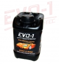 EVO-1 SPRAY & SHINE Sprühglanz